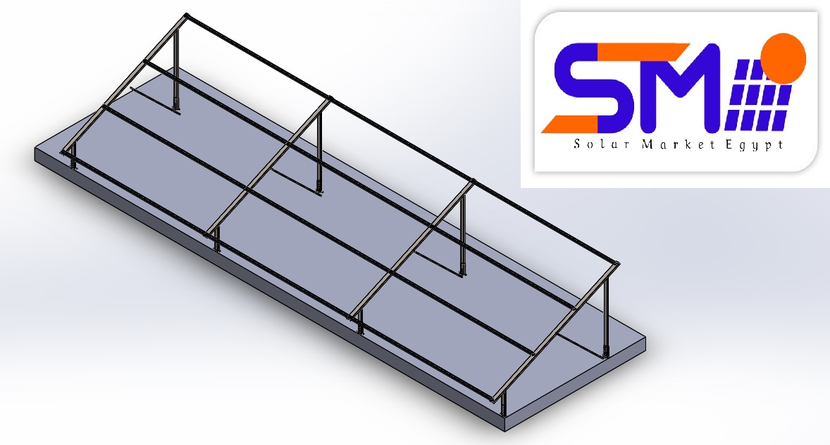 SME MS2-72 cells