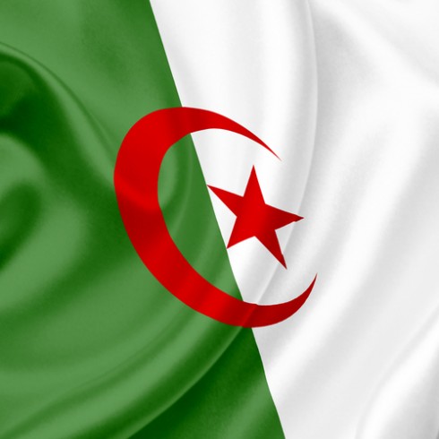 الجزائر تدخل عصر الطاقة المتجددة بمشروع  "تافوك 1" بتكلفة 3.6  مليار دولار