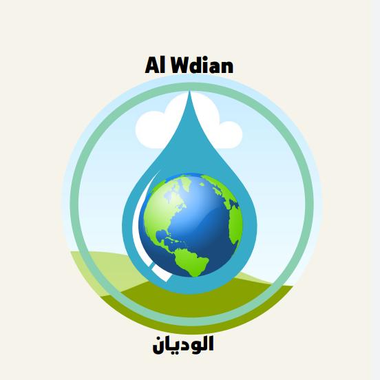 شركة الوديان